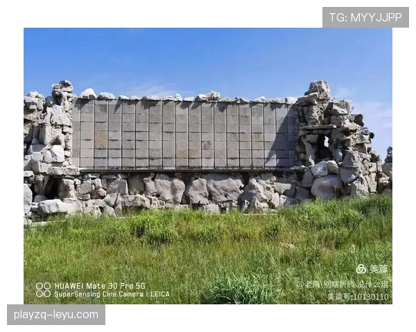 水晶宫公布五年发展规划:聚焦竞技提升与社区融合 水晶宫公布五年发展规划:聚焦竞技提升与社区融合