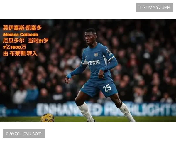 莫伊塞斯·凯塞多强势登陆英超，新赛季表现备受瞩目