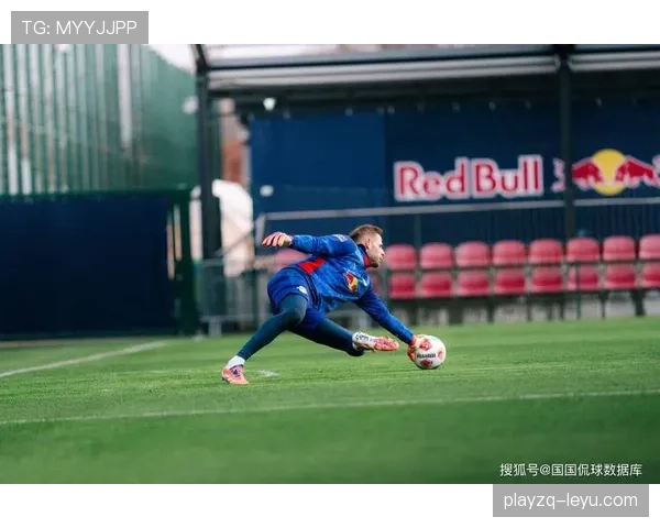 德甲转会观察：新赛季球员流动趋势与赛场表现前瞻